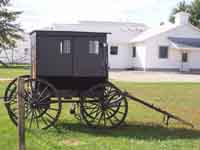 Arthur Amish Buggy