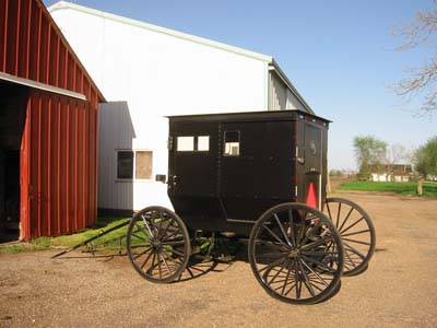 Amish Buggy