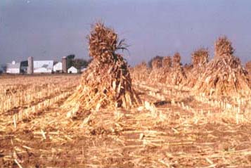 October in Amish Country